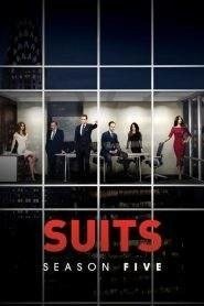 Suits: Stagione 5