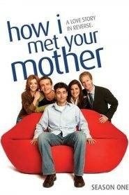 How I Met Your Mother: Stagione 1