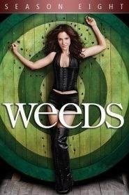 Weeds: Stagione 8