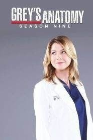 Grey’s Anatomy: Stagione 9