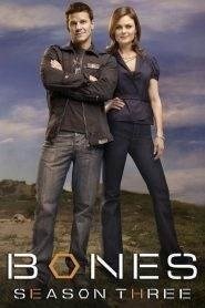 Bones: Stagione 3