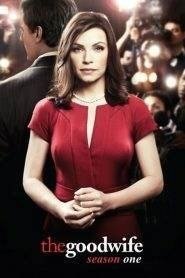 The Good Wife: Stagione 1