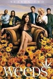 Weeds: Stagione 2
