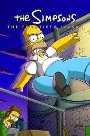 I Simpson: Stagione 20