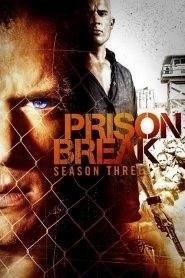 Prison Break: Stagione 3