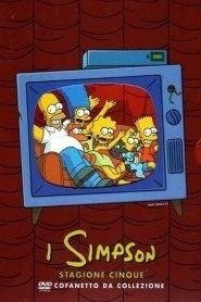 I Simpson: Stagione 5
