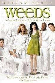 Weeds: Stagione 3