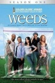 Weeds: Stagione 1