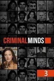 Criminal Minds: Stagione 3