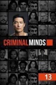 Criminal Minds: Stagione 13