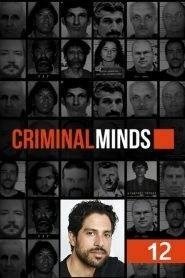 Criminal Minds: Stagione 12