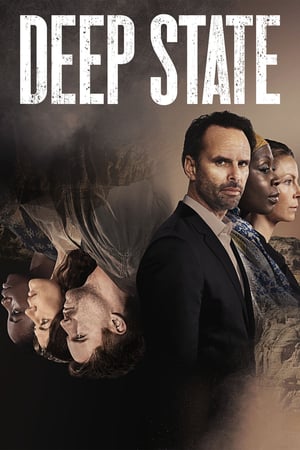 Deep State: 2 Stagione