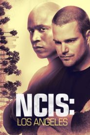 NCIS: Los Angeles: 10 Stagione