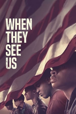 When They See Us: 1 Stagione