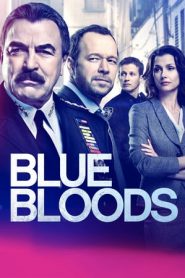 Blue Bloods: 9 Stagione