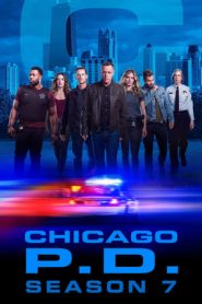 Chicago P.D.: 7 Stagione