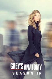 Grey’s Anatomy: 16 Stagione