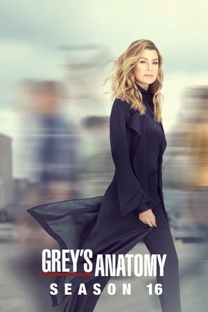 Grey’s Anatomy: 16 Stagione