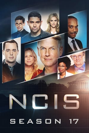 NCIS – Unità anticrimine: 17 Stagione