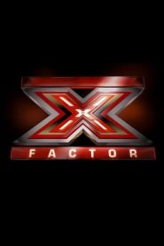 X Factor: 13 Stagione