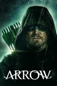 Arrow: 8 Stagione