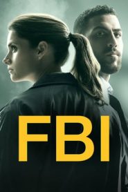 FBI: 2 Stagione