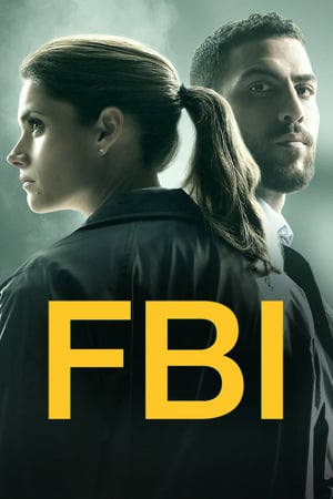 FBI: 2 Stagione