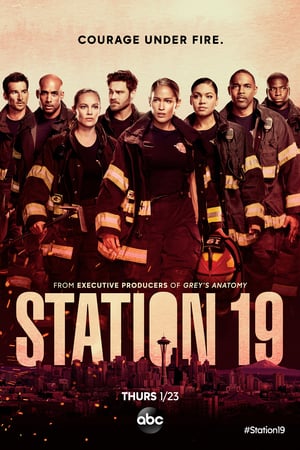 Station 19: 3 Stagione