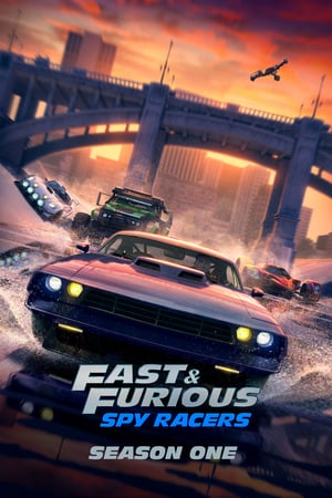 Fast & Furious: Piloti sotto copertura: 1 Stagione