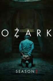 Ozark: 3 Stagione