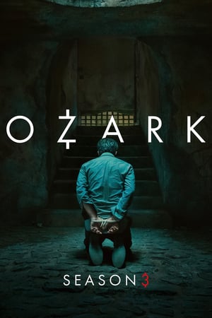 Ozark: 3 Stagione