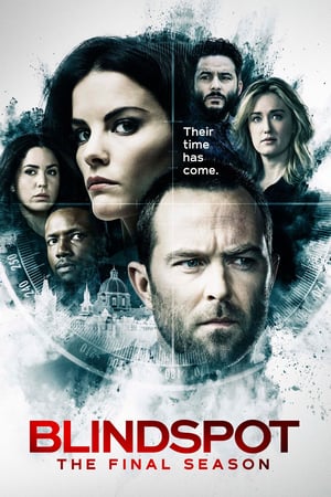 Blindspot: 5 Stagione