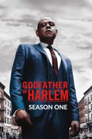 Godfather of Harlem: 1 Stagione