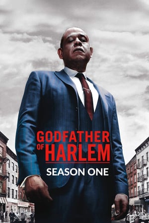 Godfather of Harlem: 1 Stagione