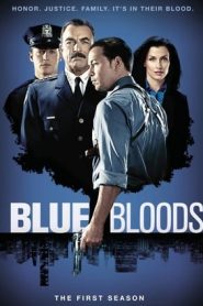 Blue Bloods: 1 Stagione