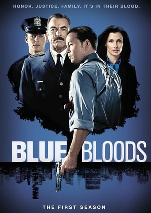 Blue Bloods: 1 Stagione