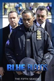 Blue Bloods: 5 Stagione