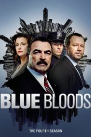 Blue Bloods: 4 Stagione