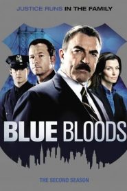 Blue Bloods: 2 Stagione