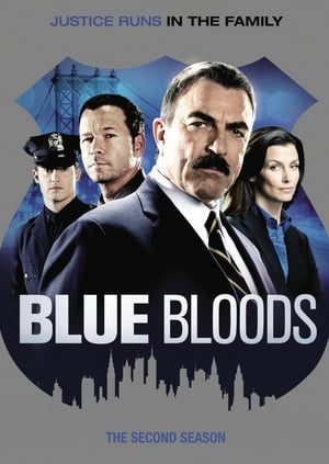 Blue Bloods: 2 Stagione