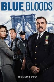 Blue Bloods: 6 Stagione