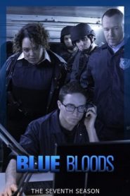 Blue Bloods: 7 Stagione