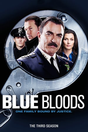 Blue Bloods: 3 Stagione