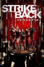 Strike Back – Senza regole: 8 Stagione