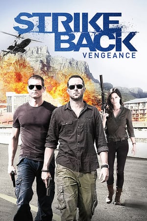 Strike Back – Senza regole: 3 Stagione