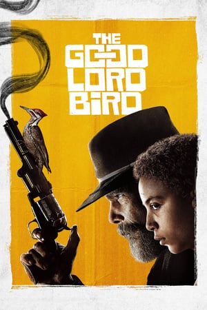 The Good Lord Bird – La storia di John Brown: 1 Stagione