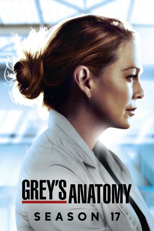 Grey’s Anatomy: 17 Stagione