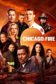 Chicago Fire: 9 Stagione