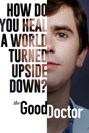 The Good Doctor: 4 Stagione