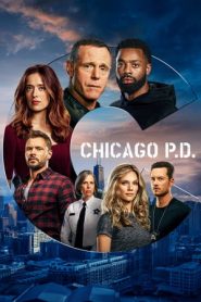 Chicago P.D.: 8 Stagione